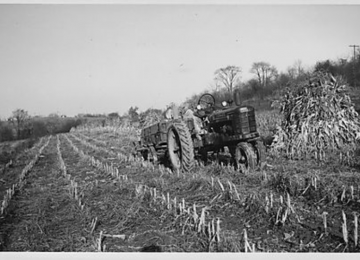 Farmall Tractor At Work On The Gilfillan Farm